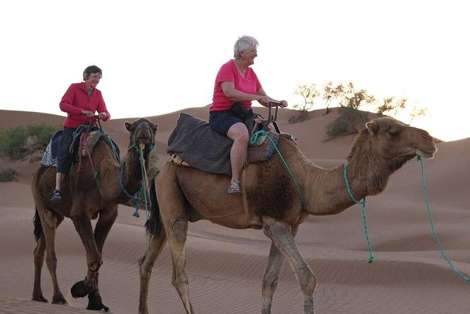 Hike and Discover the Atlas Waterfalls From Marrakech - Meeting Point