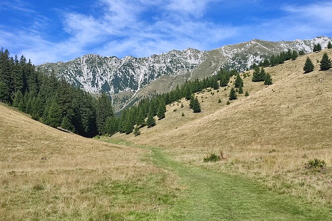 Hike the Highest Peak in Piatra Craiului Mountains (2238 M) - Guided Tour Inclusions