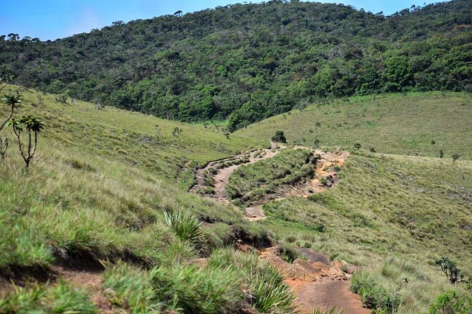 Hiking in Horton Plains National Park From Ella - Spectacular Views Along the Way