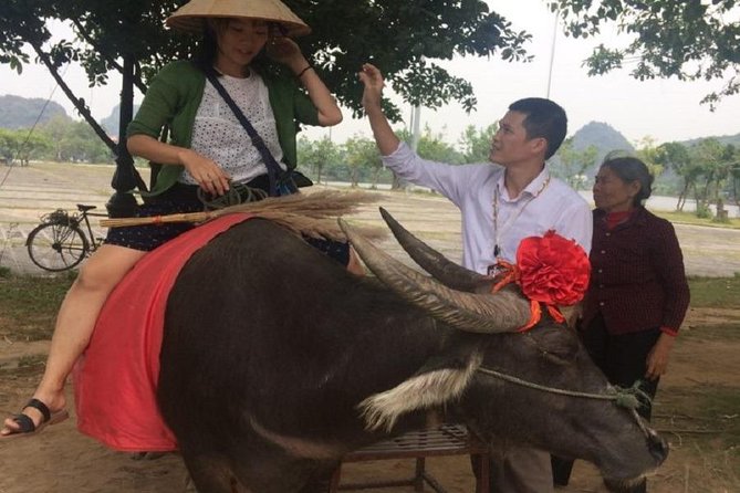 Hoa Lu & Tam Coc & Mua Cave Tour (Limousine Bus, Small Boat Boarding Fee, Lunch Included) - Pickup and Meeting Details