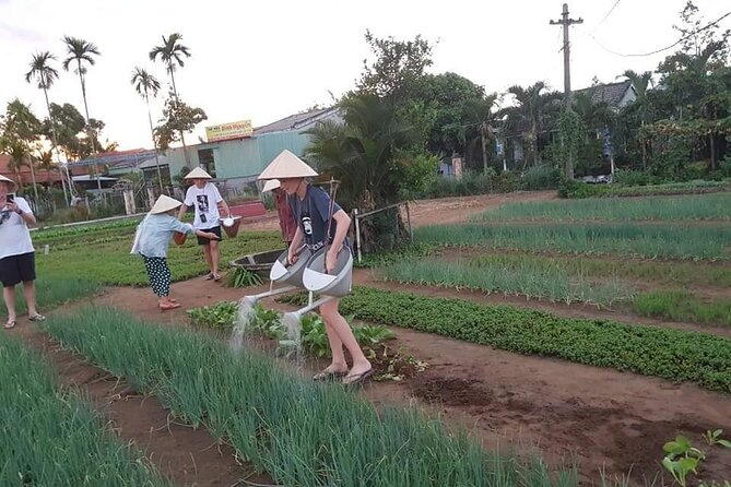 Hoi An Lantern Making Class and Silk Weaving- Vegetable Farming Private Tour - Cancellation Policy