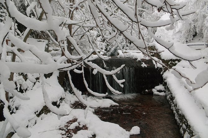 Home-Hosted Meal in the Slopes of Mount Belasica - Day Trip From Skopje - Booking Information and Price