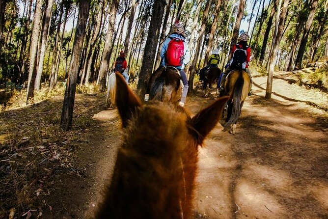 Horse Back Riding Cusco (Mistic Tour) - Pickup Details