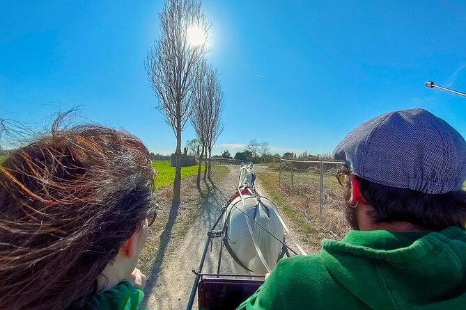 Horse Carriage Tour and Wine Tasting in Lazise