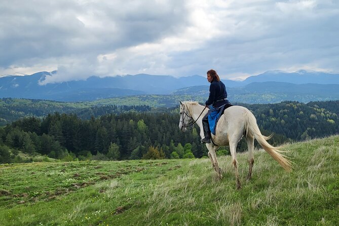 Horse Riding Experience From Borovets - Meeting and Pickup Information