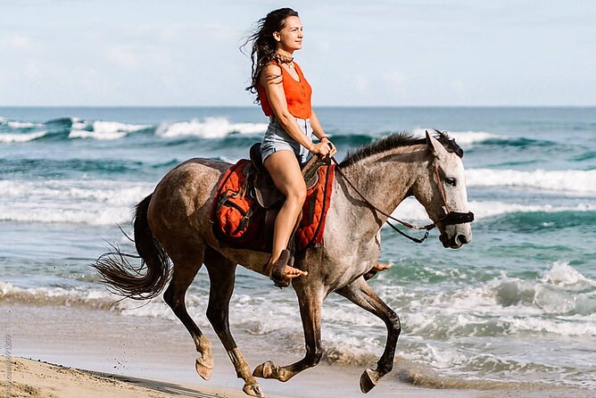 Horse Riding for 2 Hours on the Sea and Desert - Hurghada - Pickup Information