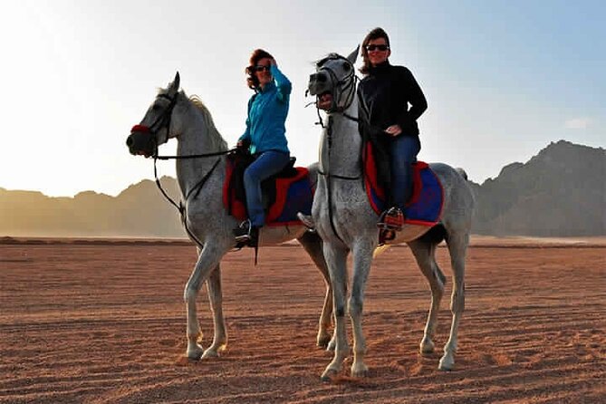 Horse Riding in Dahab - Pickup and Timing