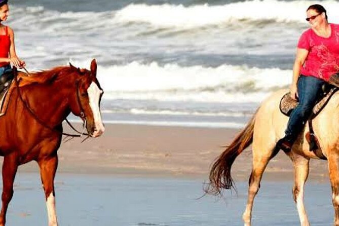 Horse Riding in Hurghada 1 Hour Beach - Pricing Details