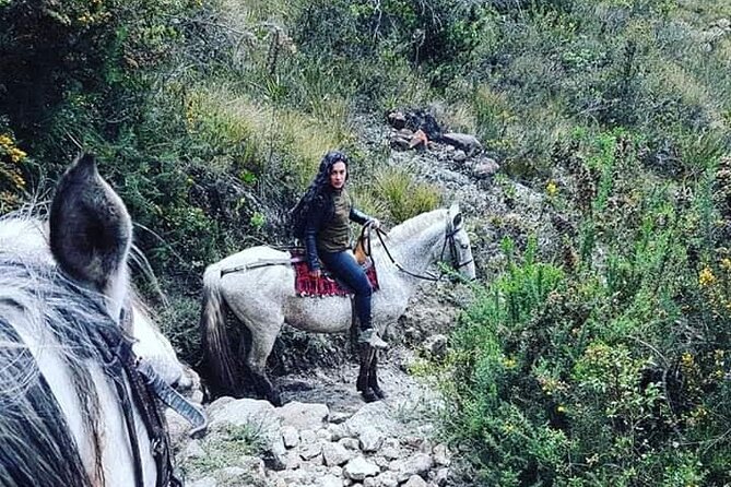 Horse Riding to Monserrate - What To Expect