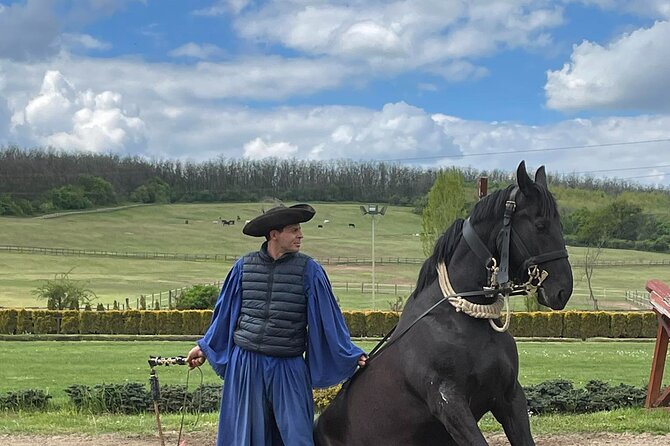 Horse Show, Lunch, Carriage Ride, Palace Visit Private Near Bp - Logistics