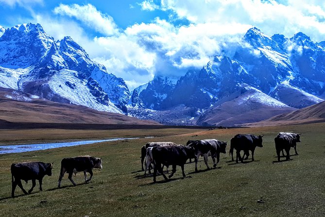 Horse Trek in Kyrgyzstan: Naryn to Kel-Suu Lake - Scenic Horse Trek Route Overview