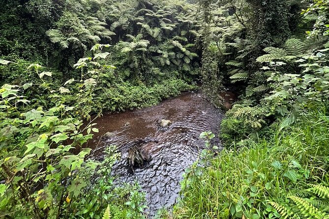 Horseback Experience at Karura Forest - Pricing Details