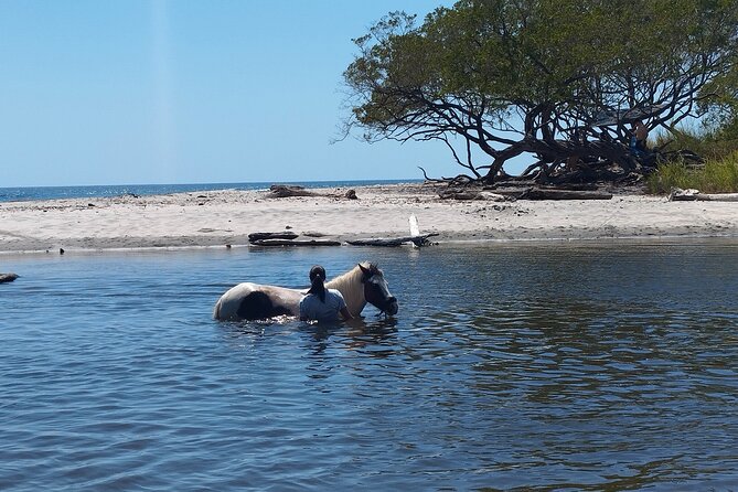 Horseback Ride, Picnic and Swimming at Barigona Beach - Cancellation Policy