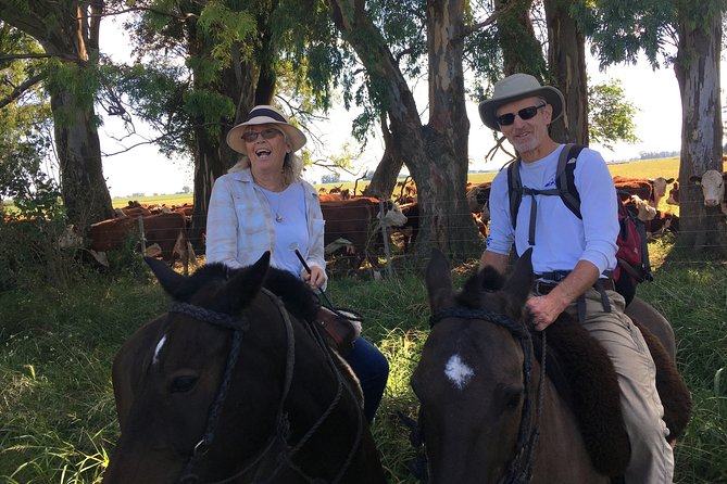 Horseback Riding and Countryside Day - Ride a Criollo Horse in the Countryside