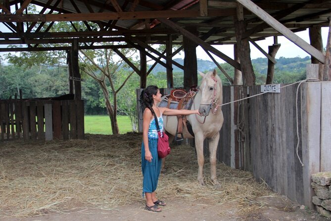 Horseback Riding and Tour in San Lorenzo Organic Farm - Duration