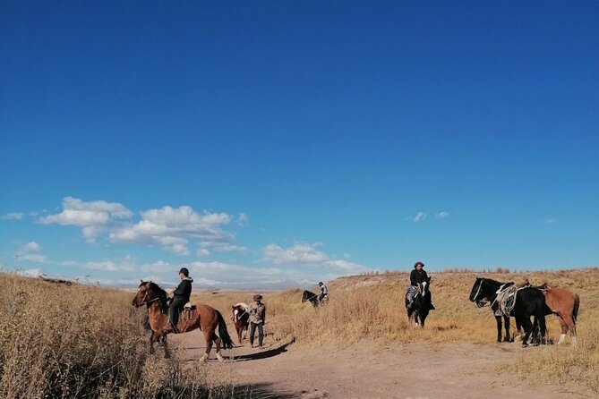 Horseback Riding in Chiu-Chiu Junta De Los Ríos Del Oasis - Inclusions and Meeting Point