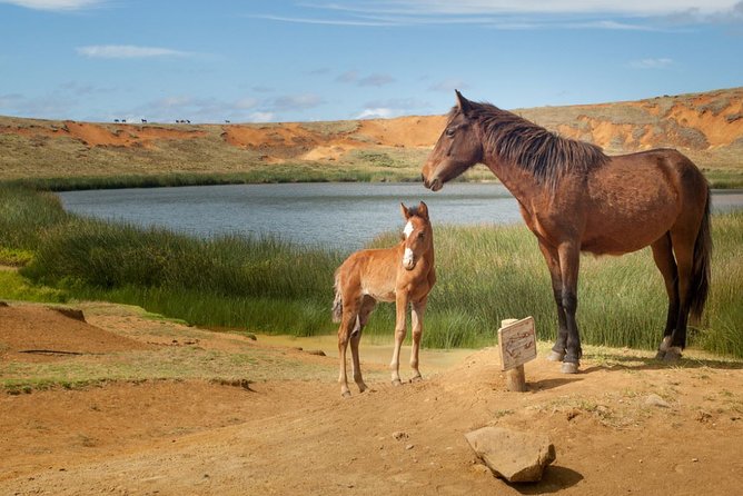 Horseback Riding on Easter Island - Tour Details