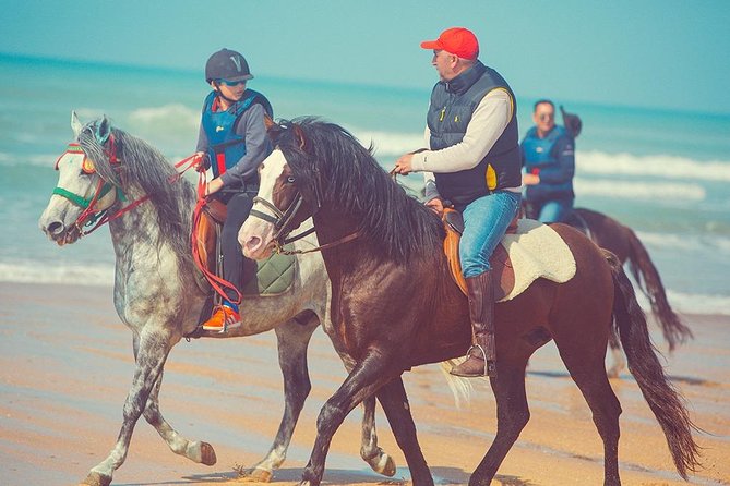 Horseback Riding: PLAYA BLANCA Advanced Riders - Tangier - 1 Hour - Level and Inclusions Provided
