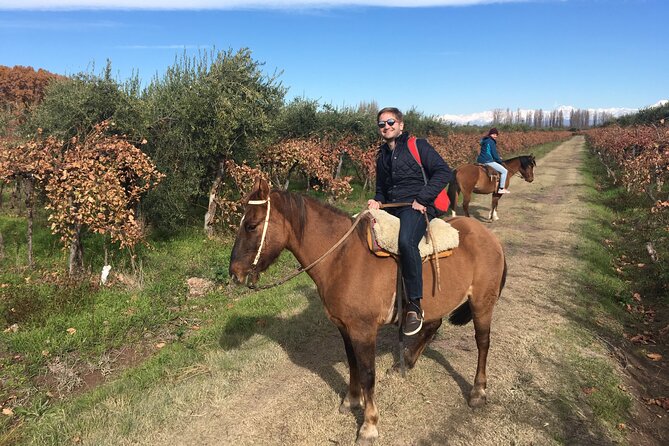 Horseback Riding Rancho Viejo With Barbecue and Wine - Private Tour Details