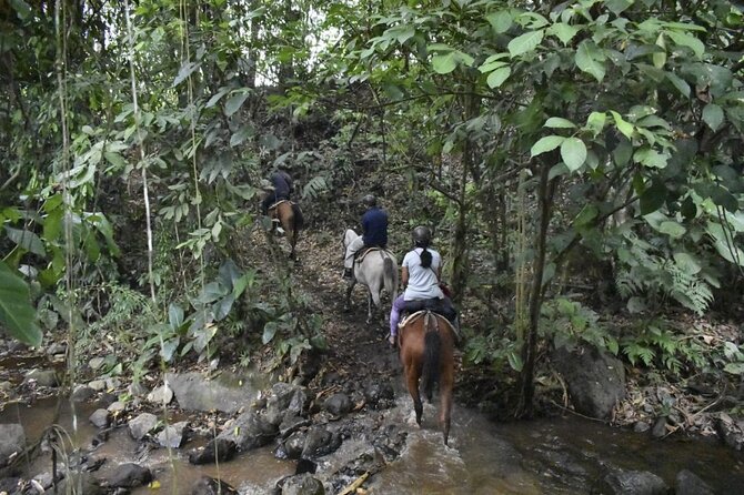 Horseback Riding to Arenal Volcano - Activity Overview and Security Measures