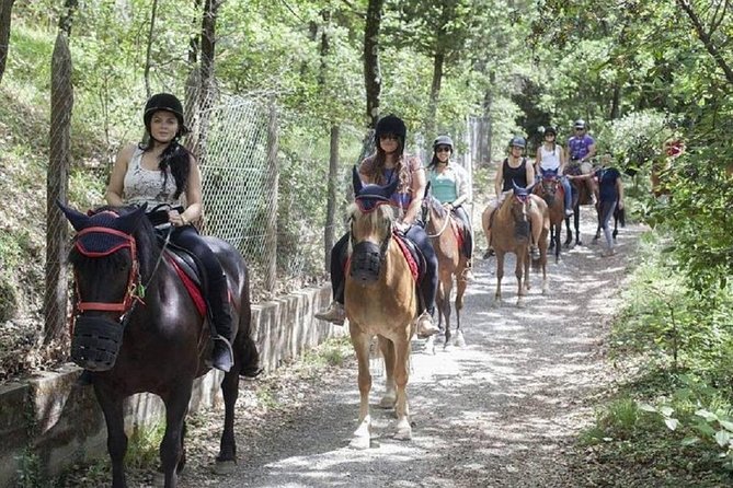 Horseback Ridings and Wine Tastings in a Winery of San Gimignano - Additional Information