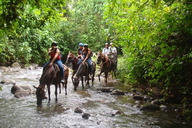 Horseback to La Fortuna Waterfall From Arenal - Scenic Ride Experience