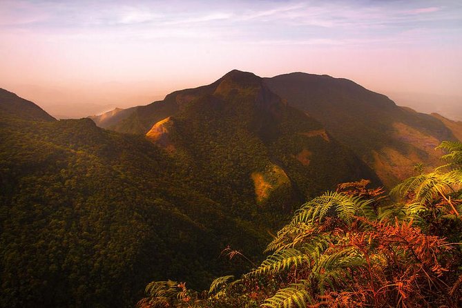 Horton Plains National Park Tour From Nuwara Eliya With Holiday Walkers Srilanka - Meeting and Pickup Details