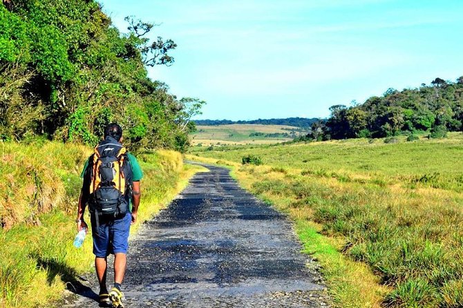 Horton Plains Nuwara Eliya Tour - Pickup Information