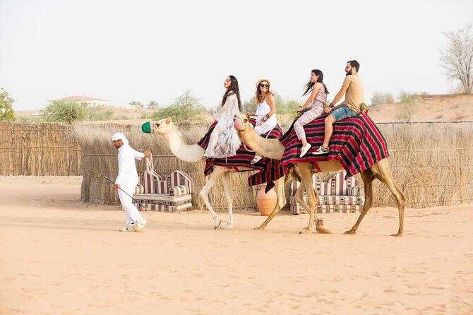 Hot Air Balloon Ride With Breakfast and Camel Ride