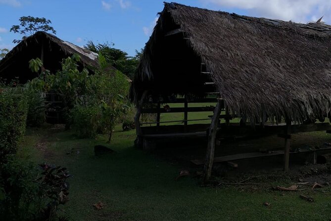 Hot Springs and Maleku Indigenous Reserve in Arenal La Fortuna From San José - Experience the Hot Springs