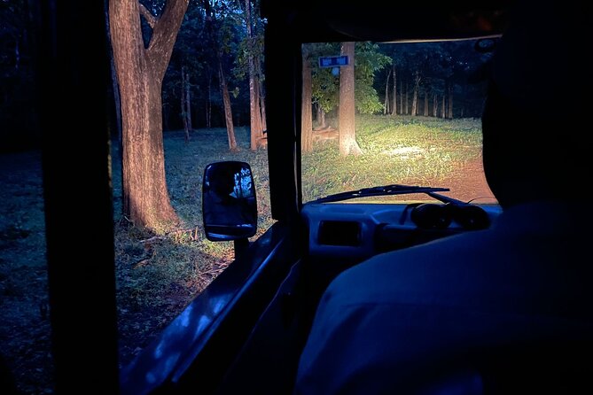 Hubli to Hampi & Anshi National Park Tour