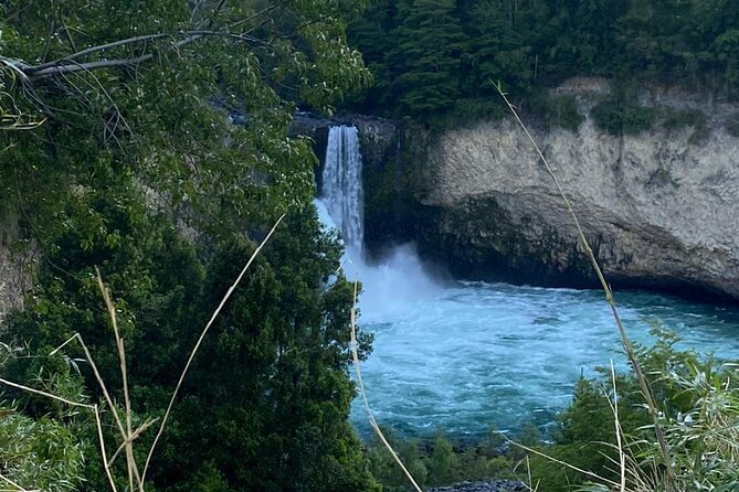 Huilo Huilo Biological Reserve From Valdivia With Lunch - Start Time and Additional Info