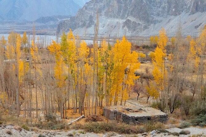 Hunza Autumn Tour - Tour Inclusions