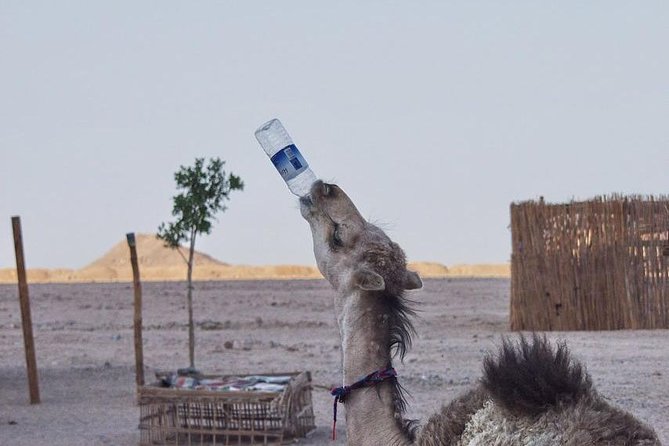 Hurghada City Tour - Tour Inclusions