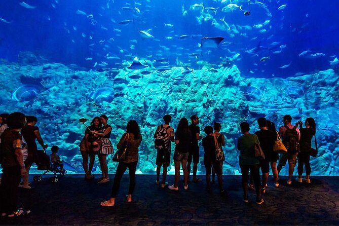Hurghada Grand Aquarium Tour With Skip the Line Ticket - Highlights of the Aquarium