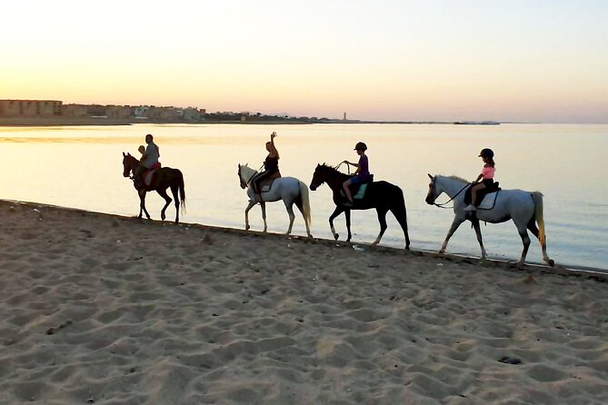 Hurghada: Horse Riding in the Desert & Swimming in the Sea - Included Amenities