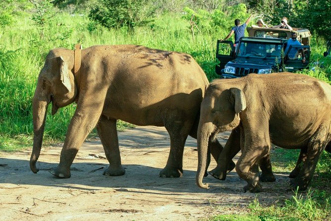 Hurulu Eco Park Private Safari From Habarana