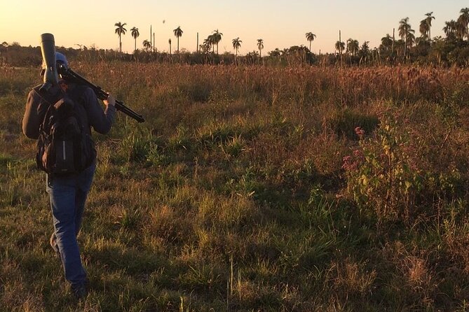 Iguazu Sunset & Nocturnal Birdiwatching