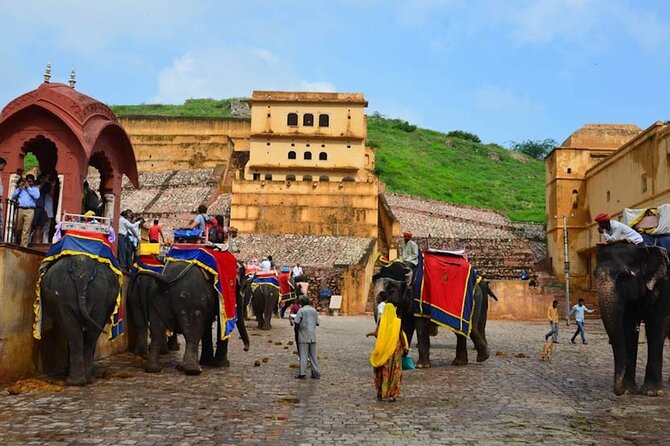 India Forts & Palaces With Tigers Rajasthan Tour - 17 Days - Accommodation Details