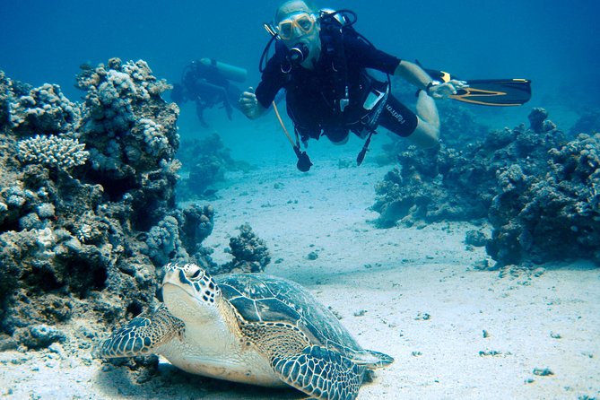 Intro Diving In Sharm El Sheikh