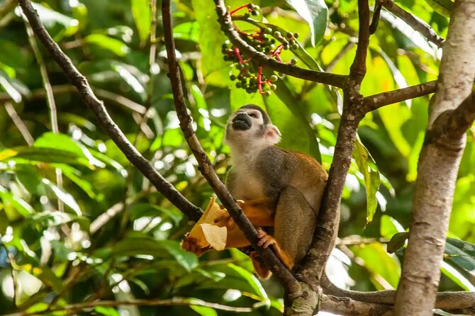 Iquitos: 3 Days and 2 Nights Amazon Jungle Tour - Packing List