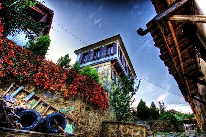 Izmir Port to Ephesus, Terrace Houses, Selcuk Museum, Temple of Artemis - Experience Expectations