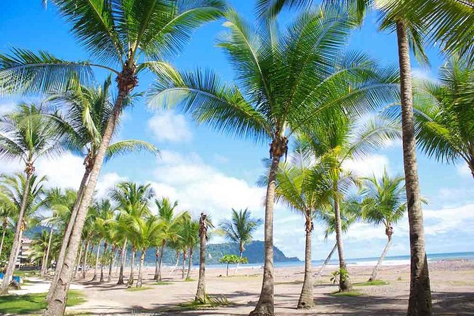 Jaco Beach & ATV Adventure One Day Tour From San Jose - Booking Information