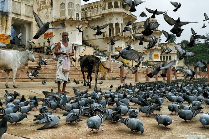 Jaipur Drop With Private Tour of Pushkar From Jodhpur - Transportation Details