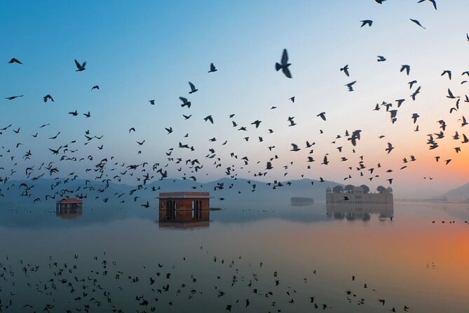 Jaipur Sunrise Tour With a Visit to the Morning Flower Market - Tour Overview