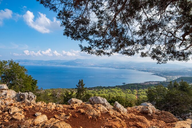 Jeep Safari to Akamas National Park: Private Tour From Paphos - Operator Information
