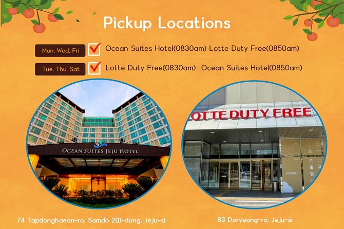 Jeju Island Taxi Join Tour - Tour Options