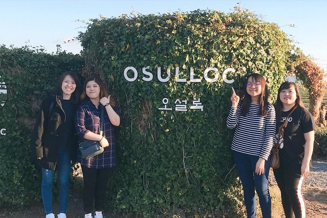 Jeju Island Taxi Tour : South Day Tour - Tour Inclusions