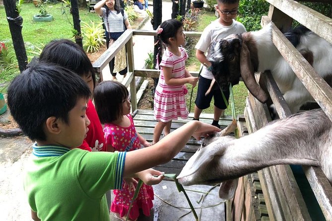 Johor Day Tour - Lasertag, Eco Farm, Go Kart [Car] - Preparation and Requirements