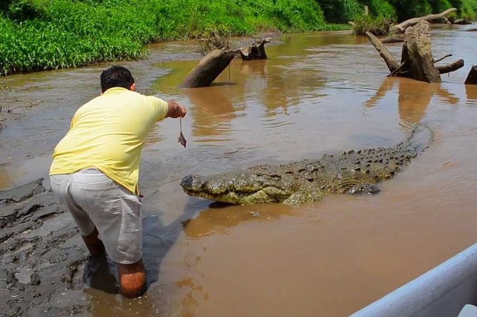 Jungle Crocodile Safari & Jaco Beach From San Jose - Relaxation at Jaco Beach